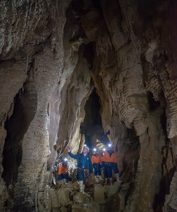 Highly Qualified & Experienced Guides