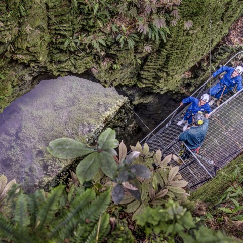 Lost World Through The Window, Gallery Image 9
