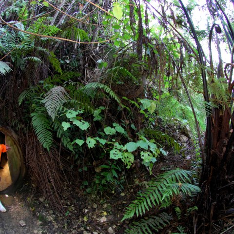 St Benedict's Caverns, Gallery Image 6